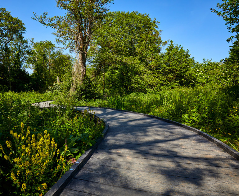 Archers Wood 50 3514 (2)